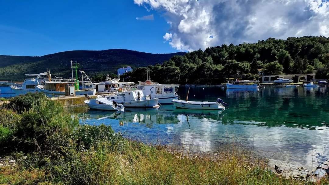 Apartments Neo Rukavac  Dış mekan fotoğraf